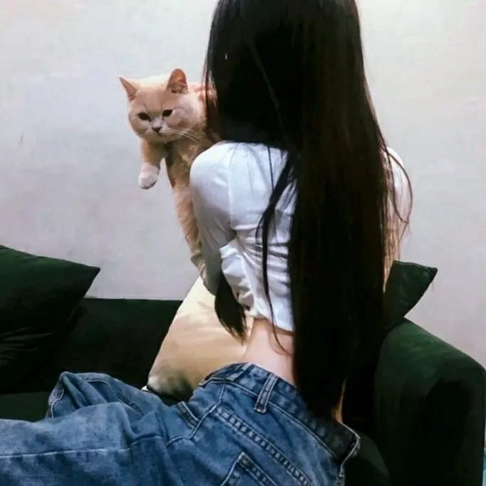 老婆婚礼我当证婚人